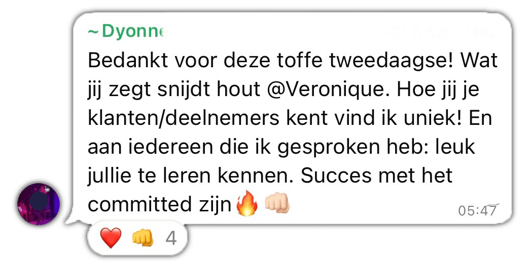 VP – Social Proof – Slim En Snel Succesvol – V1